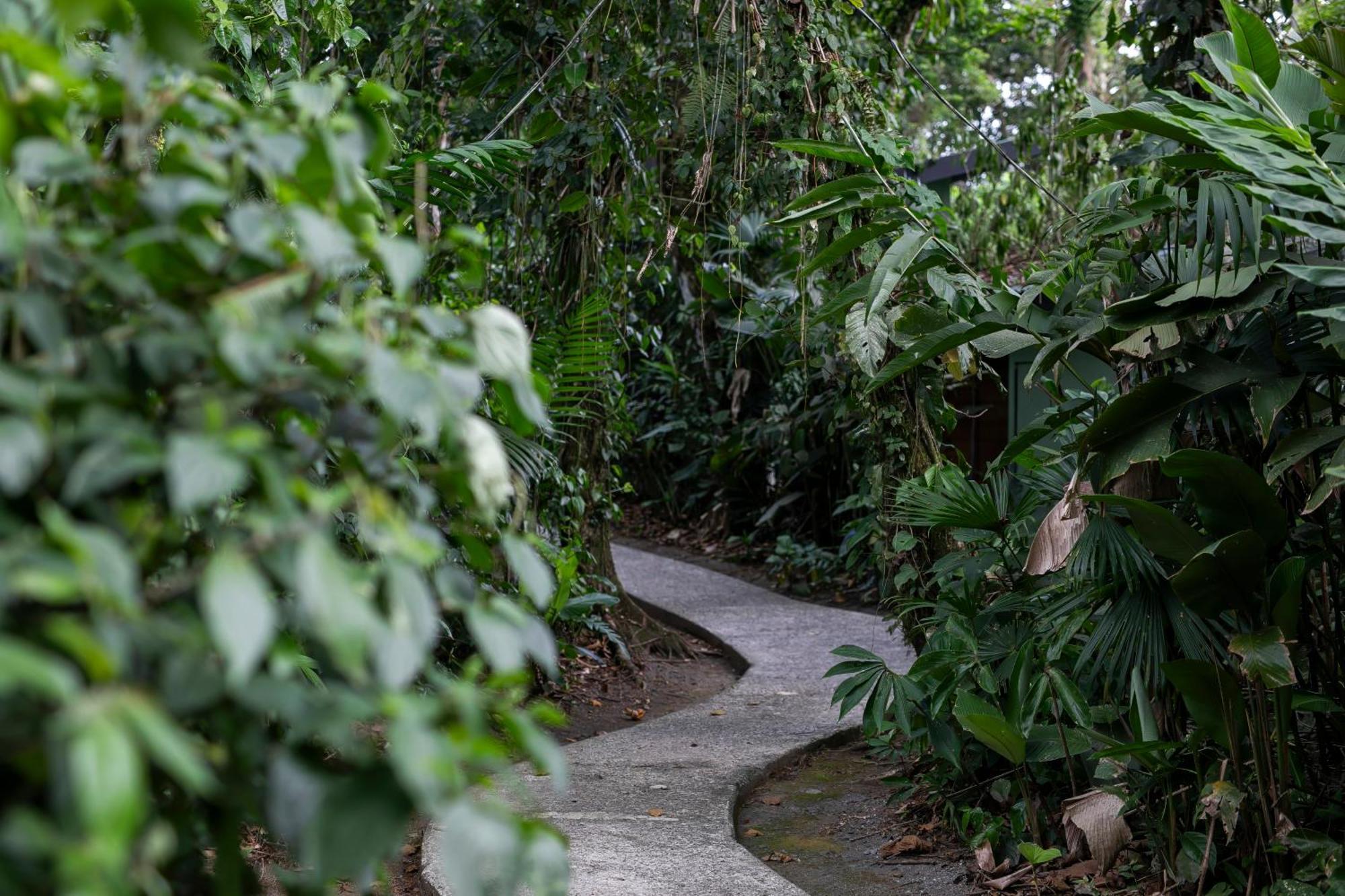 Sangregado Lodge La Fortuna Екстериор снимка
