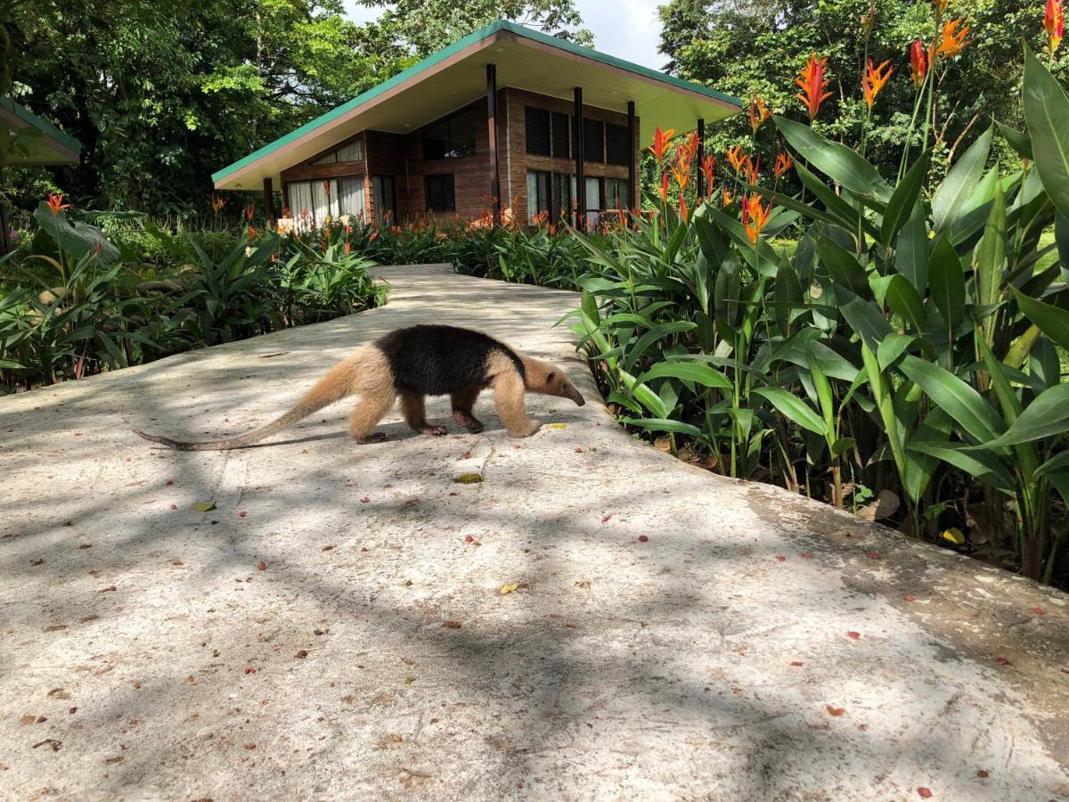 Sangregado Lodge La Fortuna Екстериор снимка